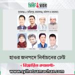 হাওর জনপদে নির্বাচনী জোয়ার: বিএনপির সাত, জামায়াতের এক প্রার্থী মাঠে